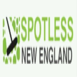 spotlessnewengland.com_250