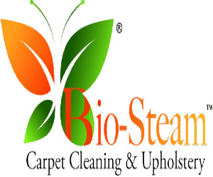 638e990eeebb1315f0bc5409_biosteam-logo-p-500