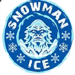 snowmanice.com_250